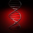 The other day, my son was asked to draw a picture of something he is grateful for. He made semi-scribbly, red twisty lines. Above them, he wrote “DNA.” I asked...