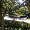 Nothing There is a labyrinth up the street from us, in front of a church I like to visit regularly to see friends. Yesterday, Declan walked the entire thing, skipping and...