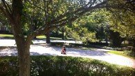 Nothing There is a labyrinth up the street from us, in front of a church I like to visit regularly to see friends. Yesterday, Declan walked the entire thing, skipping and...