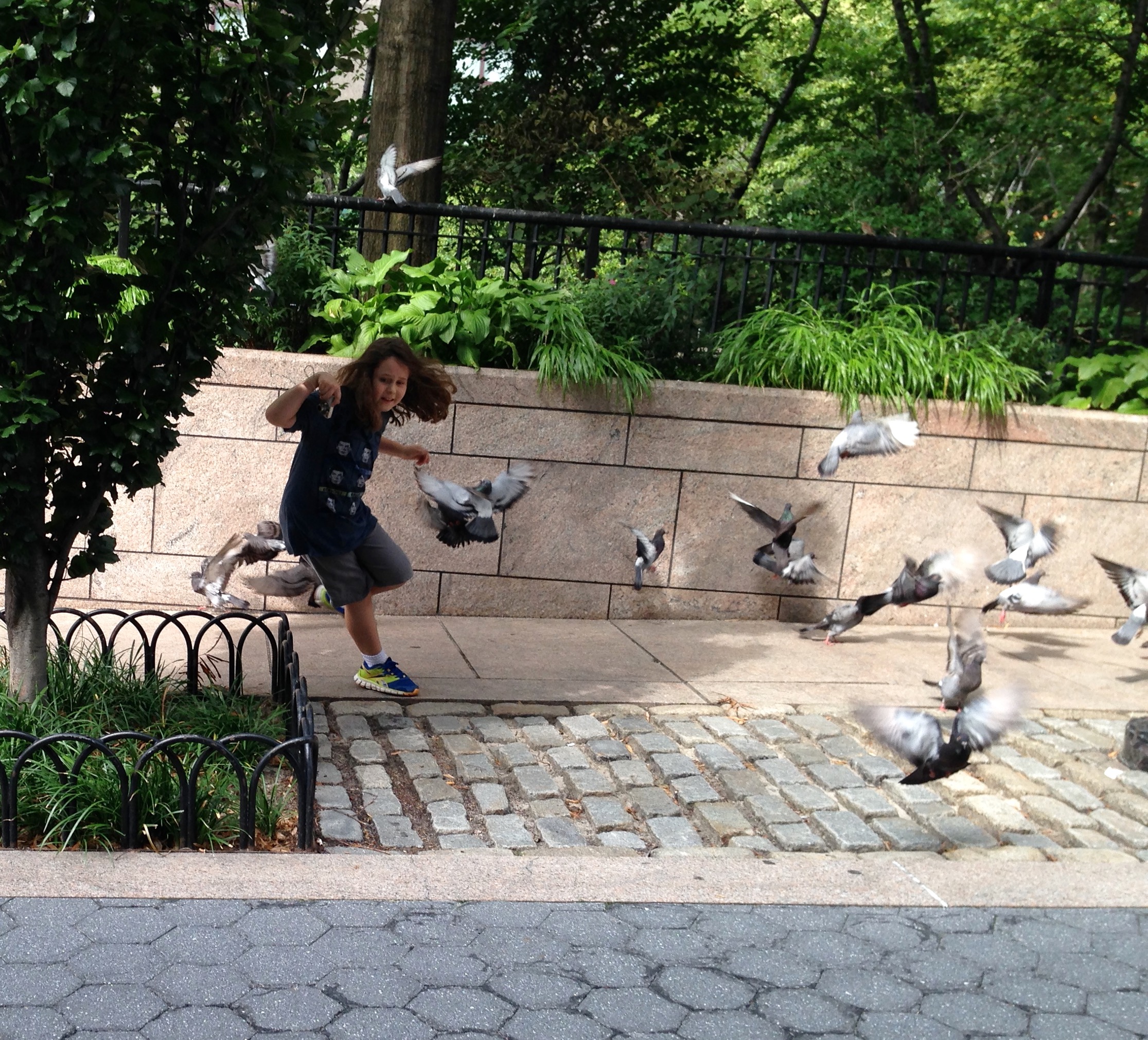 Chasing pigeons in lower Manhattan.